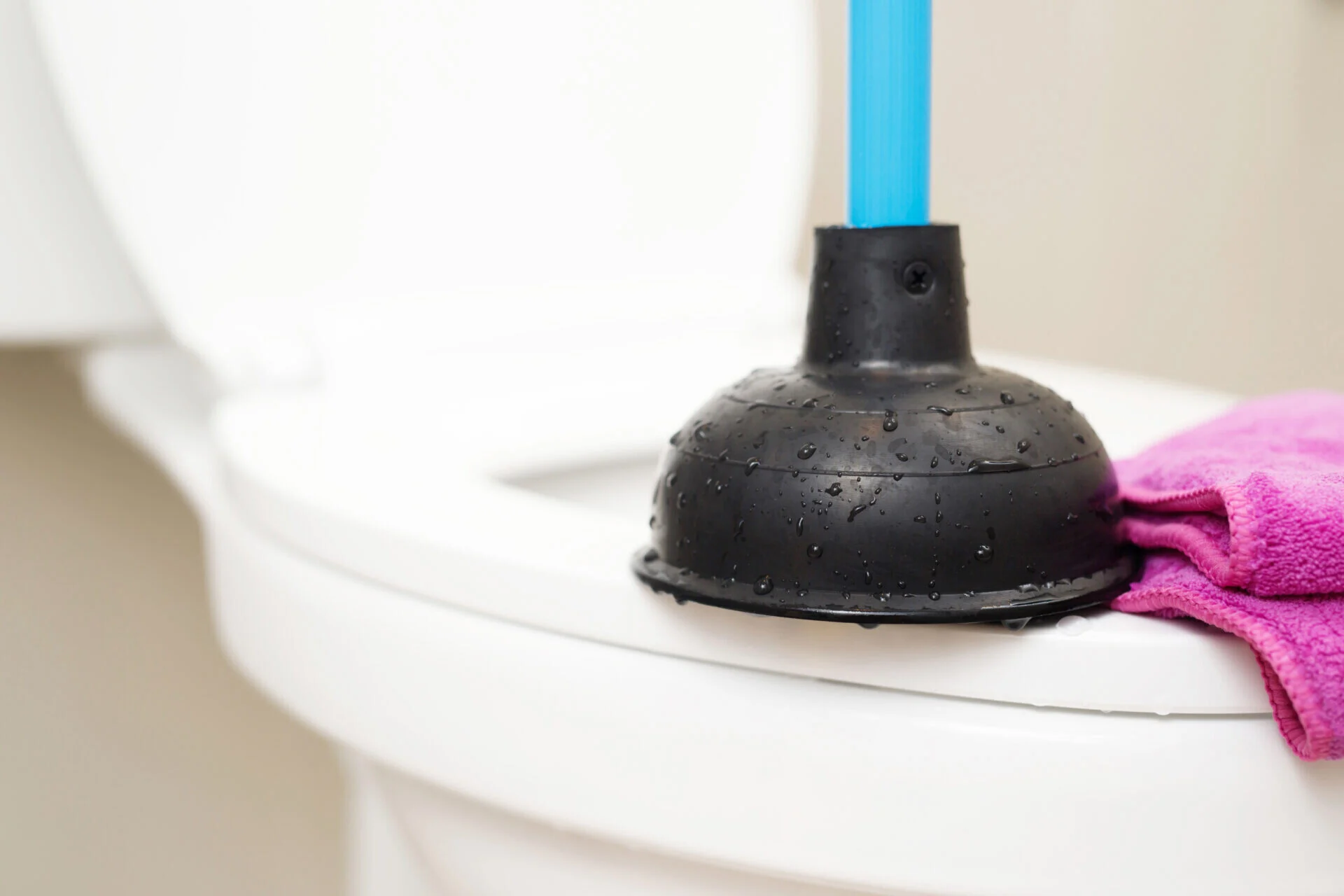 WC bouche sans ventouse article vidanges