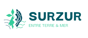 ville de surzur